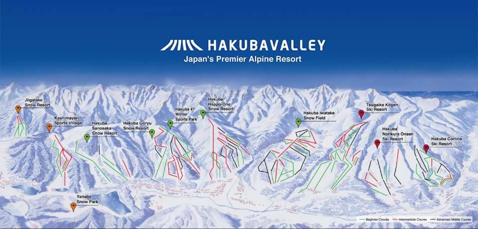 Anri Villa Хакуба Екстериор снимка